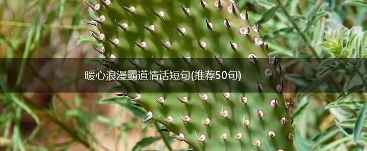 暖心浪漫霸道情话短句(推荐50句),第1张