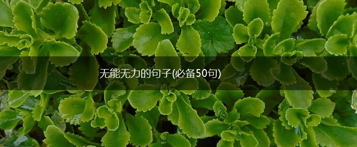 无能无力的句子(必备50句),第1张