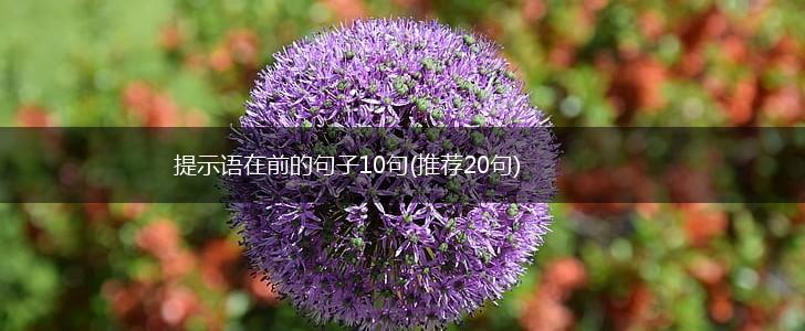 提示语在前的句子10句(推荐20句),第1张