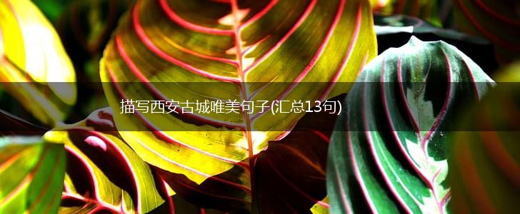 描写西安古城唯美句子(汇总13句),第1张