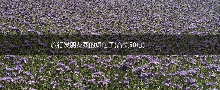 旅行发朋友圈的短句子(合集50句),第1张
