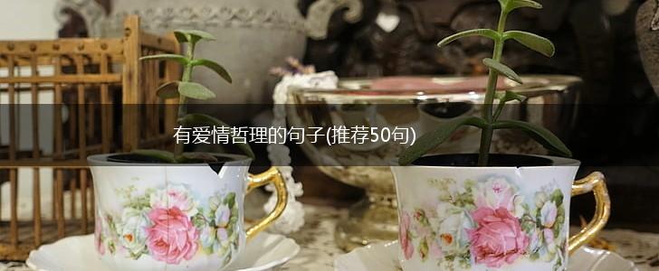 有爱情哲理的句子(推荐50句),第1张
