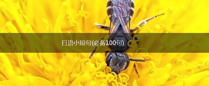 日语小短句(必备100句),第1张