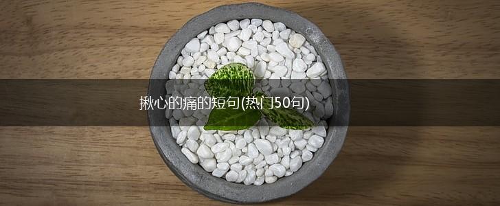 揪心的痛的短句(热门50句),第1张 揪心的痛的短句(热门50句),第1张