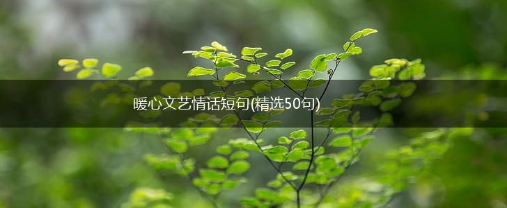 暖心文艺情话短句(精选50句),第1张