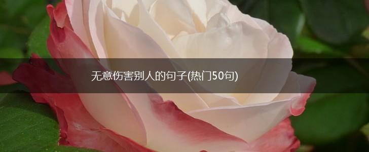 无意伤害别人的句子(热门50句),第1张