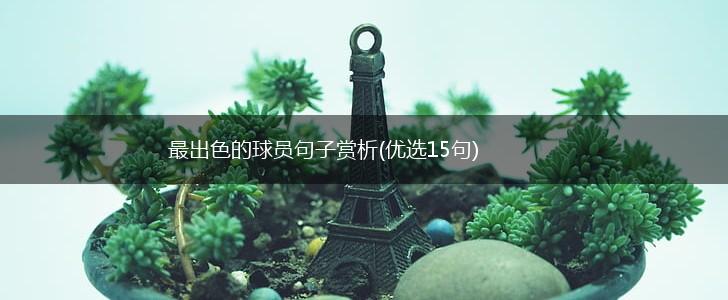 最出色的球员句子赏析(优选15句),第1张
