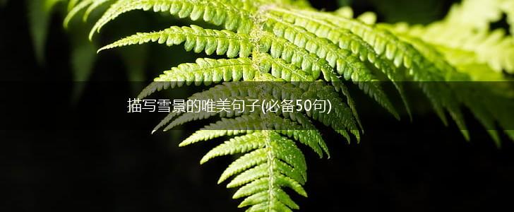 描写雪景的唯美句子(必备50句),第1张 描写雪景的唯美句子(必备50句),第1张