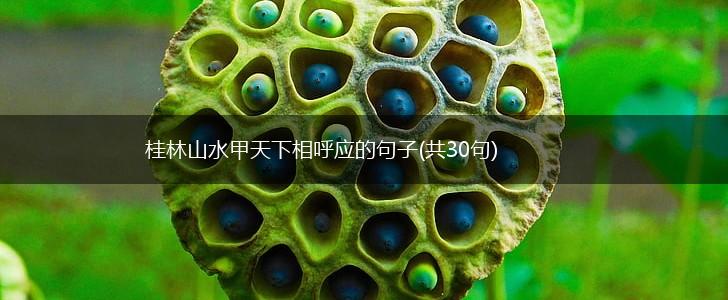 桂林山水甲天下相呼应的句子(共30句),第1张