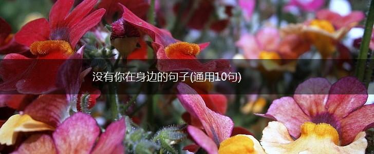 没有你在身边的句子(通用10句),第1张