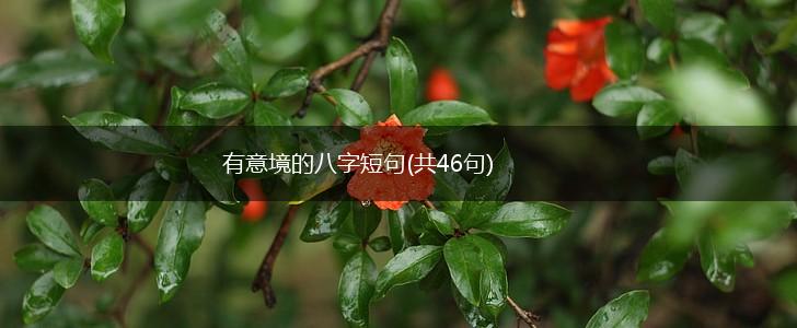 有意境的八字短句(共46句),第1张