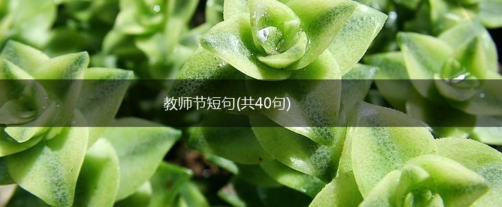 教师节短句(共40句),第1张