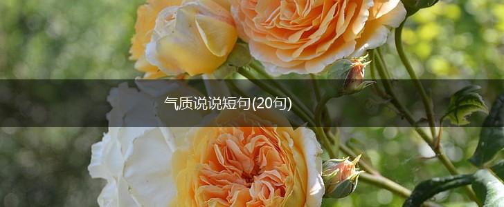 气质说说短句(20句),第1张