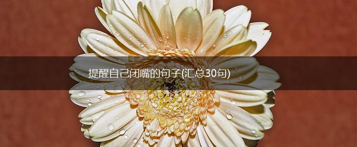 提醒自己闭嘴的句子(汇总30句),第1张