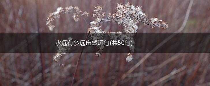 永远有多远伤感短句(共50句),第1张