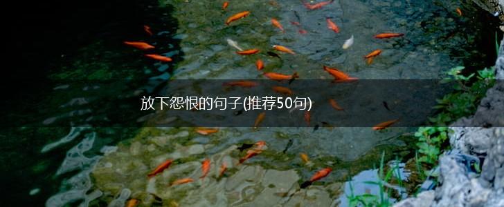 放下怨恨的句子(推荐50句),第1张