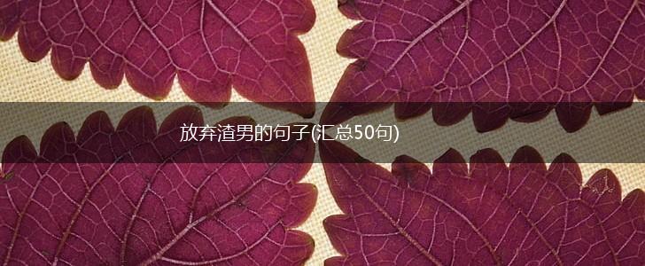 放弃渣男的句子(汇总50句),第1张