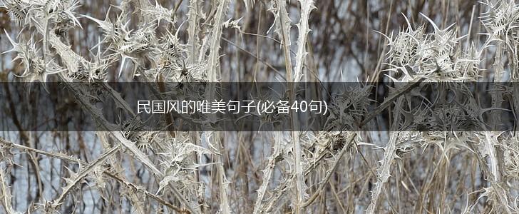 民国风的唯美句子(必备40句),第1张