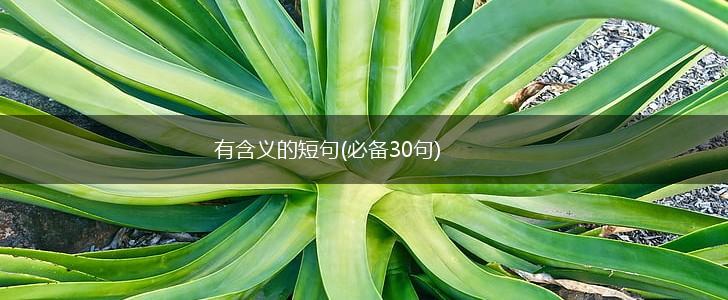 有含义的短句(必备30句),第1张