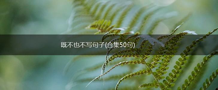 既不也不写句子(合集50句),第1张