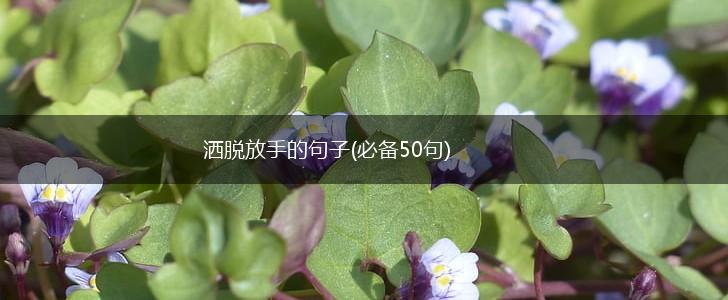 洒脱放手的句子(必备50句),第1张