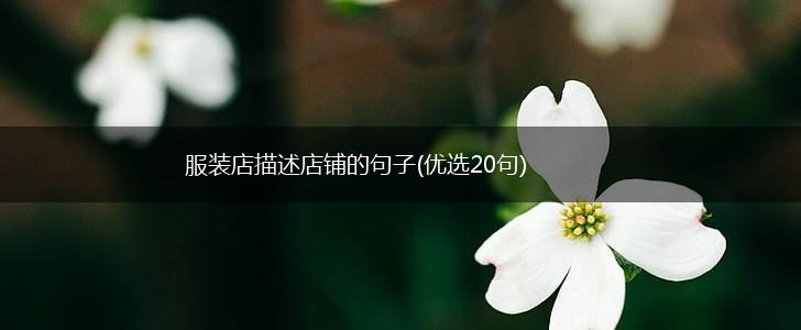 服装店描述店铺的句子(优选20句),第1张