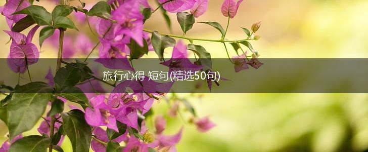 旅行心得 短句(精选50句),第1张