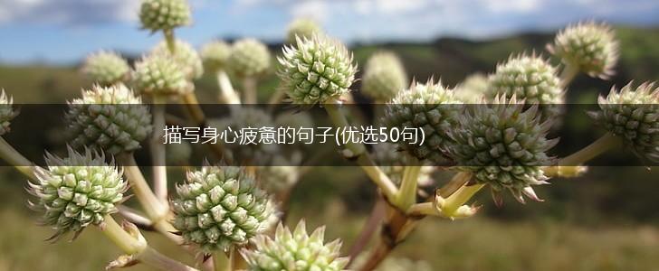 描写身心疲惫的句子(优选50句),第1张