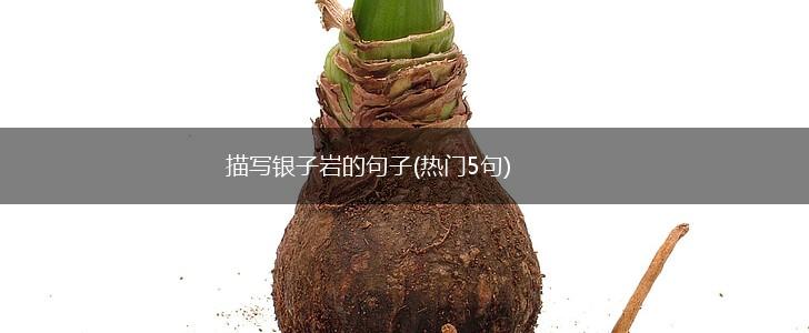 描写银子岩的句子(热门5句),第1张