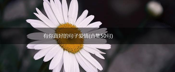 有你真好的句子爱情(合集50句),第1张