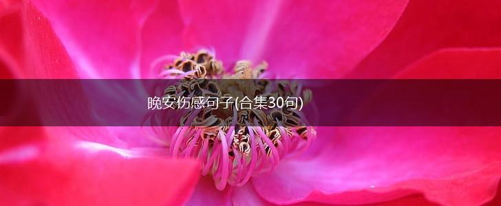 晚安伤感句子(合集30句),第1张