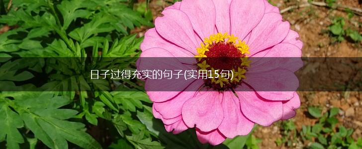 日子过得充实的句子(实用15句),第1张