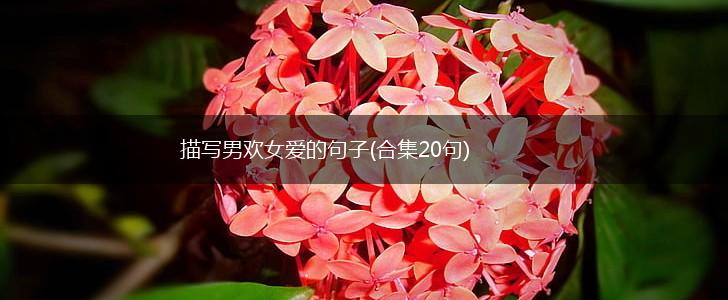 描写男欢女爱的句子(合集20句),第1张
