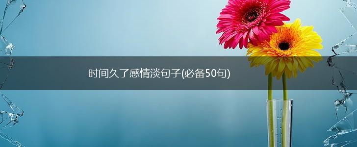 时间久了感情淡句子(必备50句),第1张