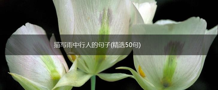 描写雨中行人的句子(精选50句),第1张