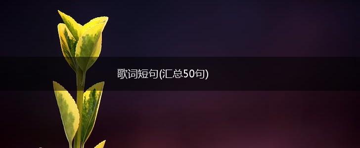歌词短句(汇总50句),第1张