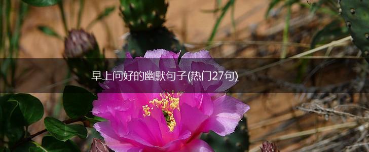 早上问好的幽默句子(热门27句),第1张