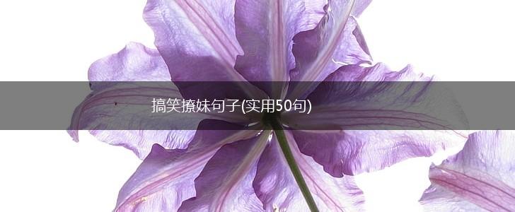 搞笑撩妹句子(实用50句),第1张