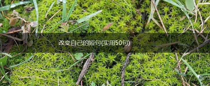 改变自己的短句(实用50句),第1张