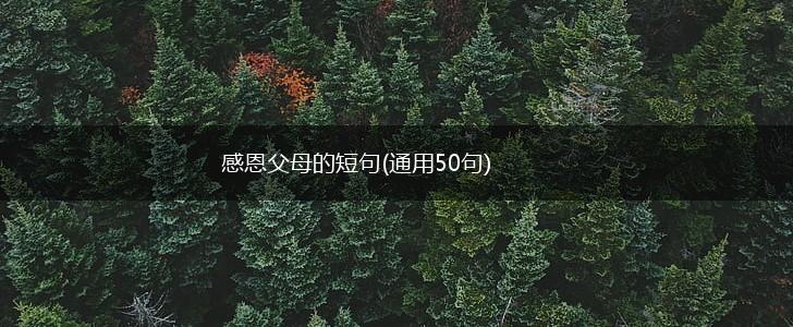 感恩父母的短句(通用50句),第1张