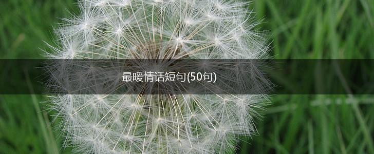 最暖情话短句(50句),第1张