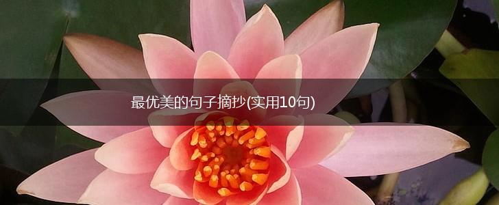 最优美的句子摘抄(实用10句),第1张