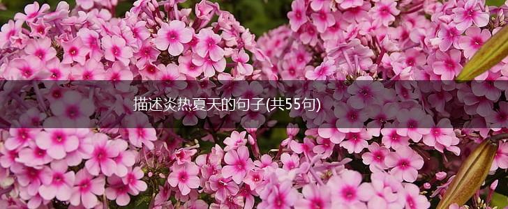 描述炎热夏天的句子(共55句),第1张