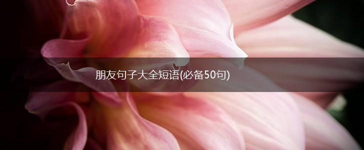 朋友句子大全短语(必备50句),第1张