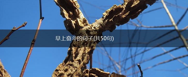 早上奋斗的句子(共50句),第1张
