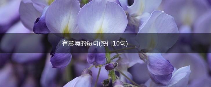 有意境的短句(热门10句),第1张