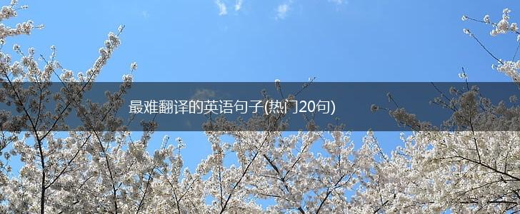 最难翻译的英语句子(热门20句),第1张