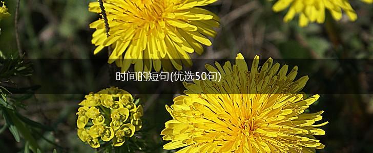 时间的短句(优选50句),第1张