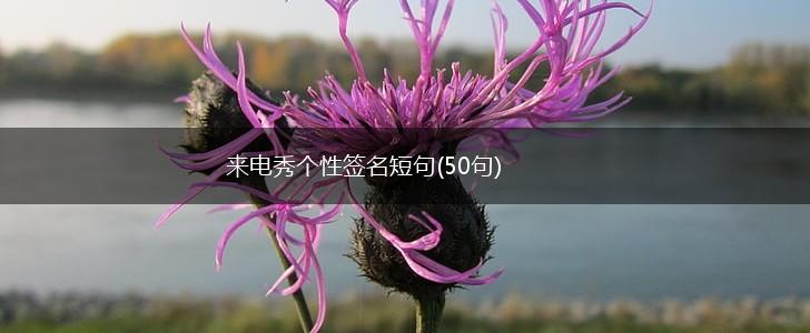 来电秀个性签名短句(50句),第1张