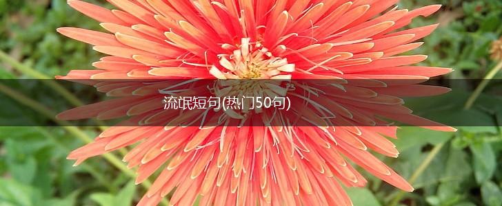 流氓短句(热门50句),第1张
